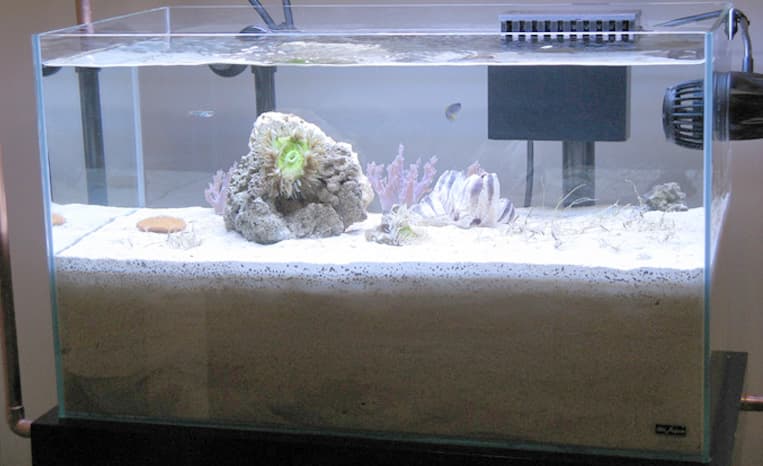Como Funciona o Filtro Deep Sand Bed (Camada profunda de areia)?