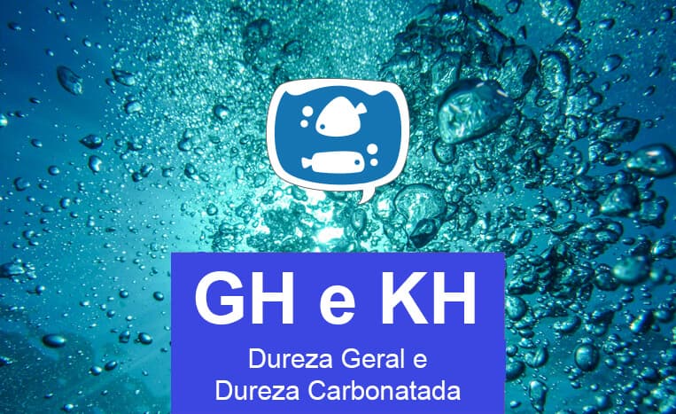 Dureza da Água: O que é GH e KH?
