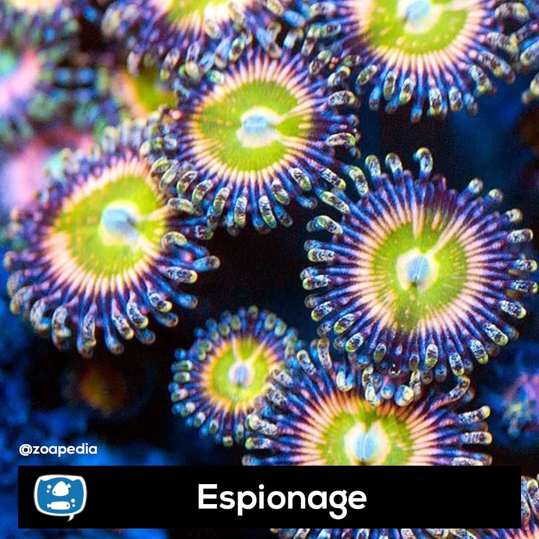 Espionage