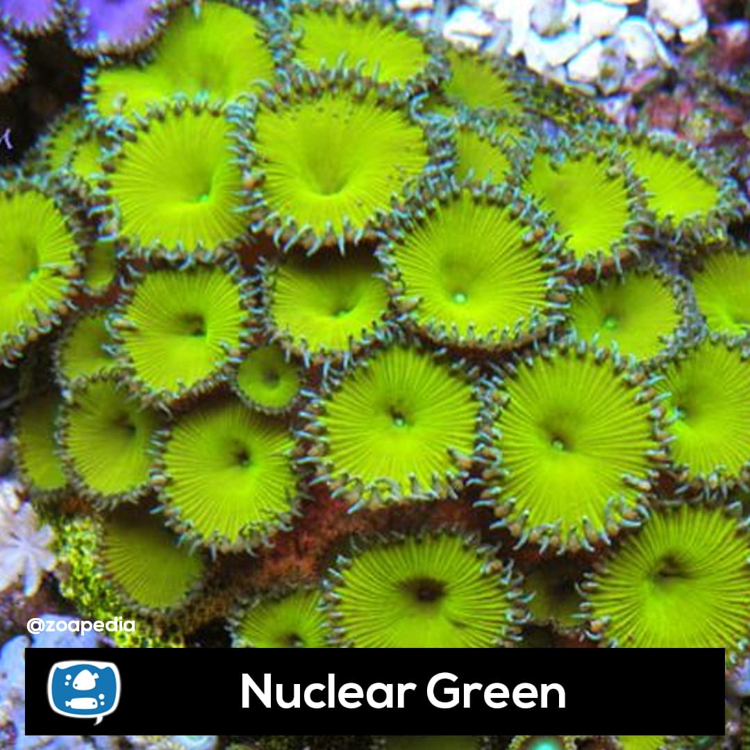 Nuclear Green
