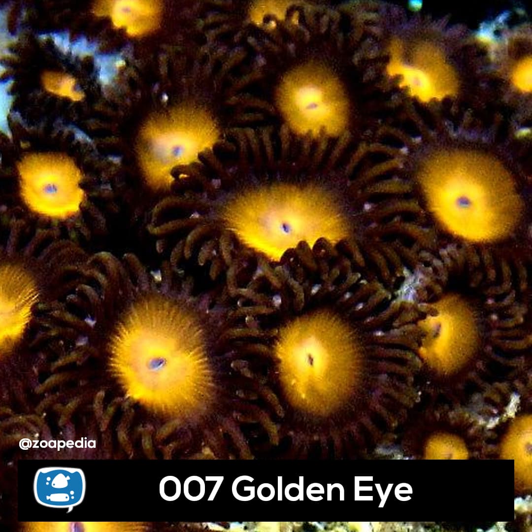 007 Golden Eye