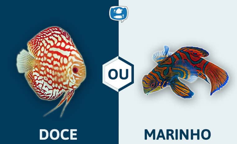 Aquário Marinho ou Aquário de Água Doce?