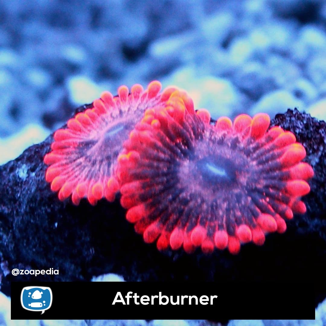 Afterburner