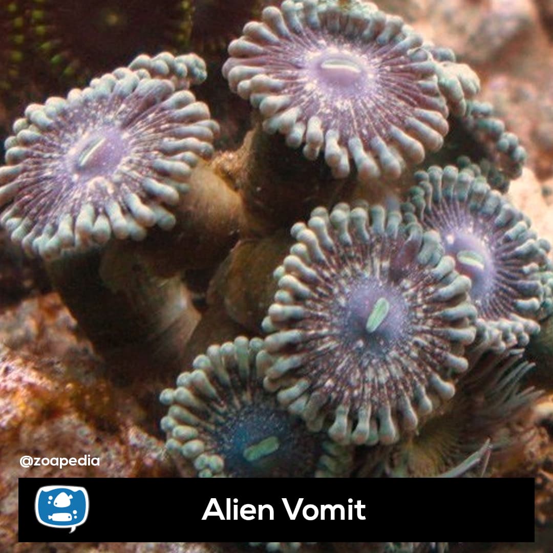 Alien Vomit