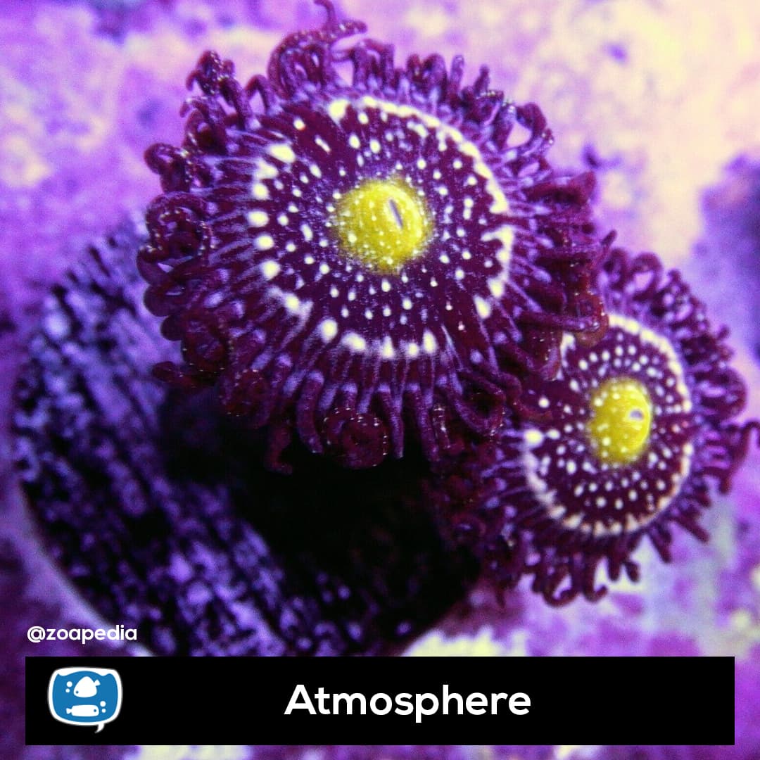 Atmosphere