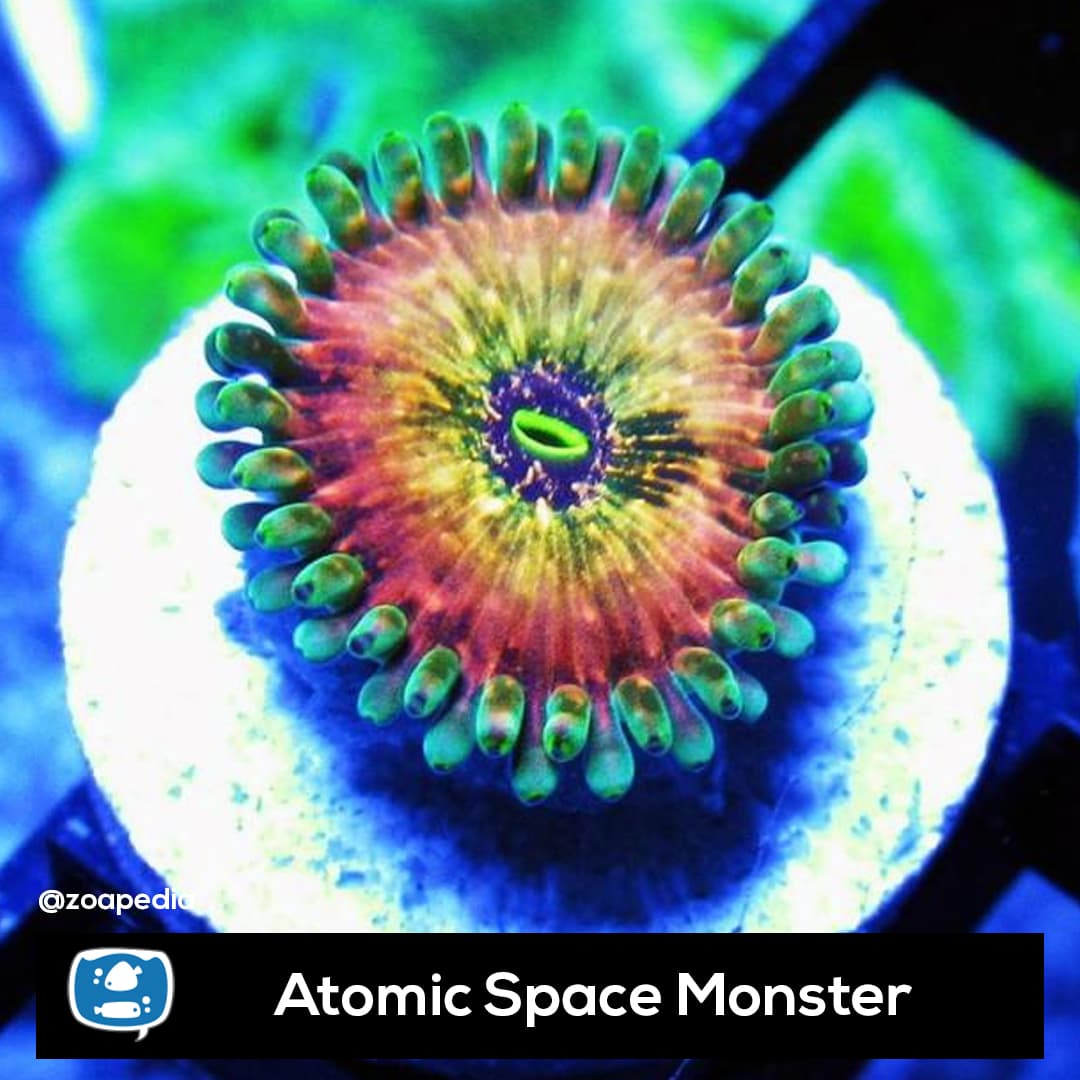 Atomic Space Monster