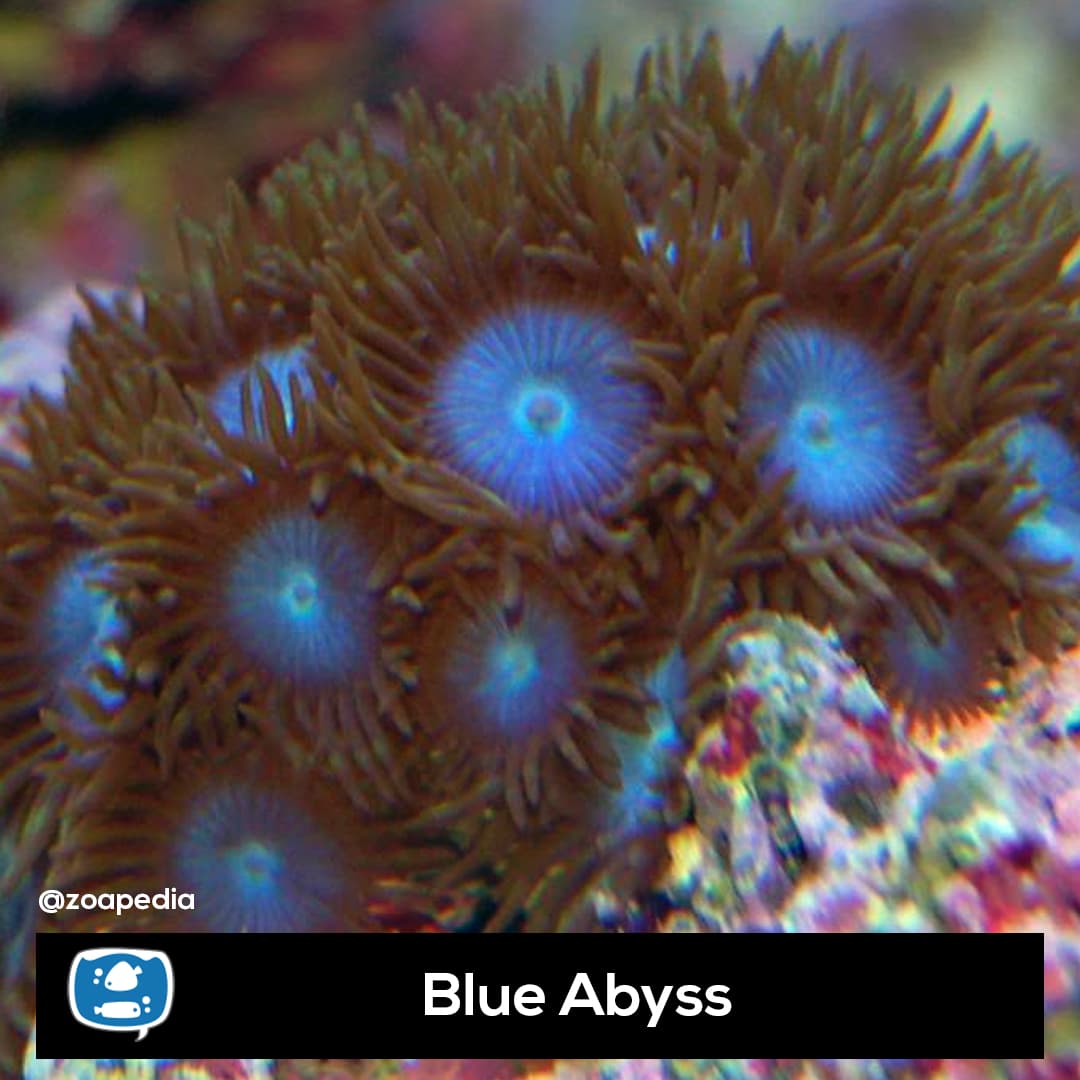 Blue Abyss