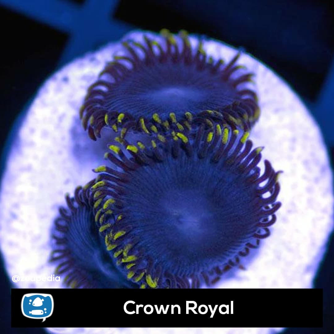 Crown Royal