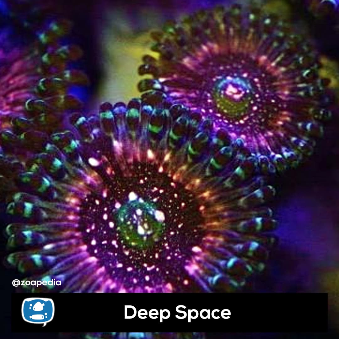 Deep Space