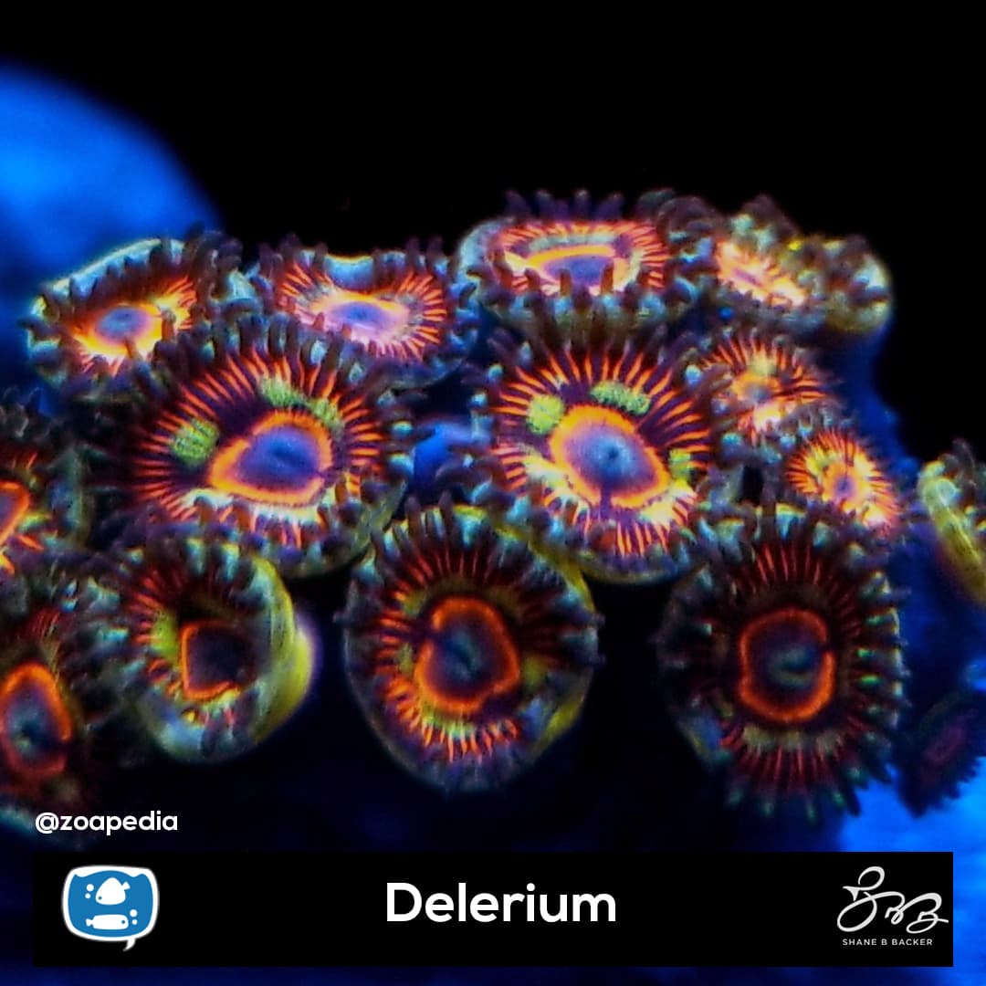 Delerium