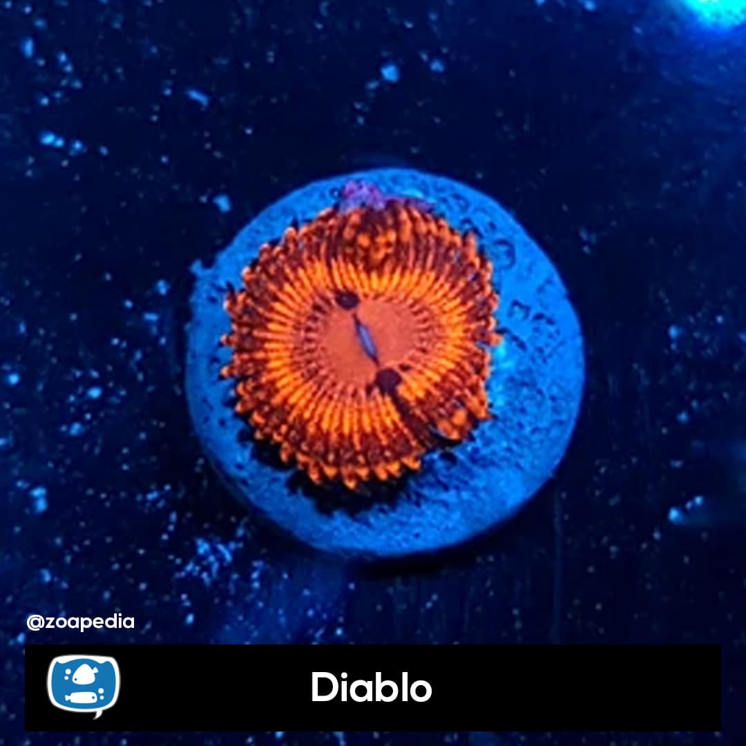 Diablo