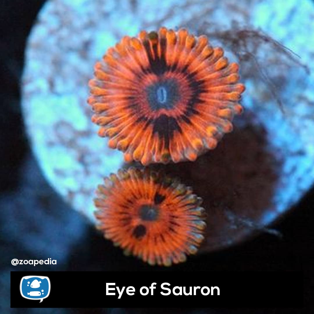Eye of Sauron