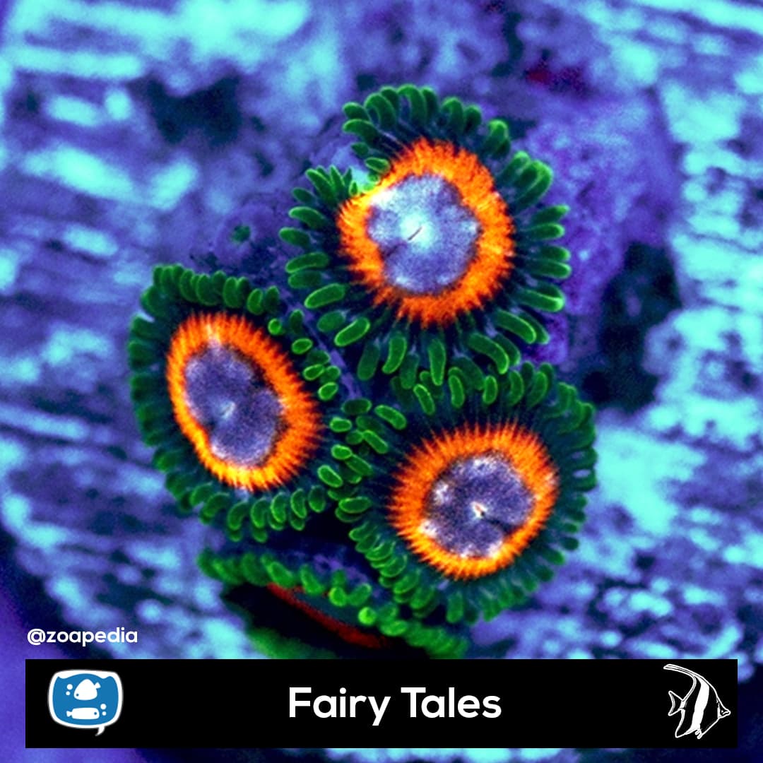 Fairy Tales