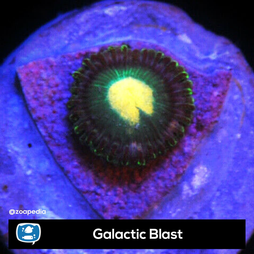 Galactic Blast