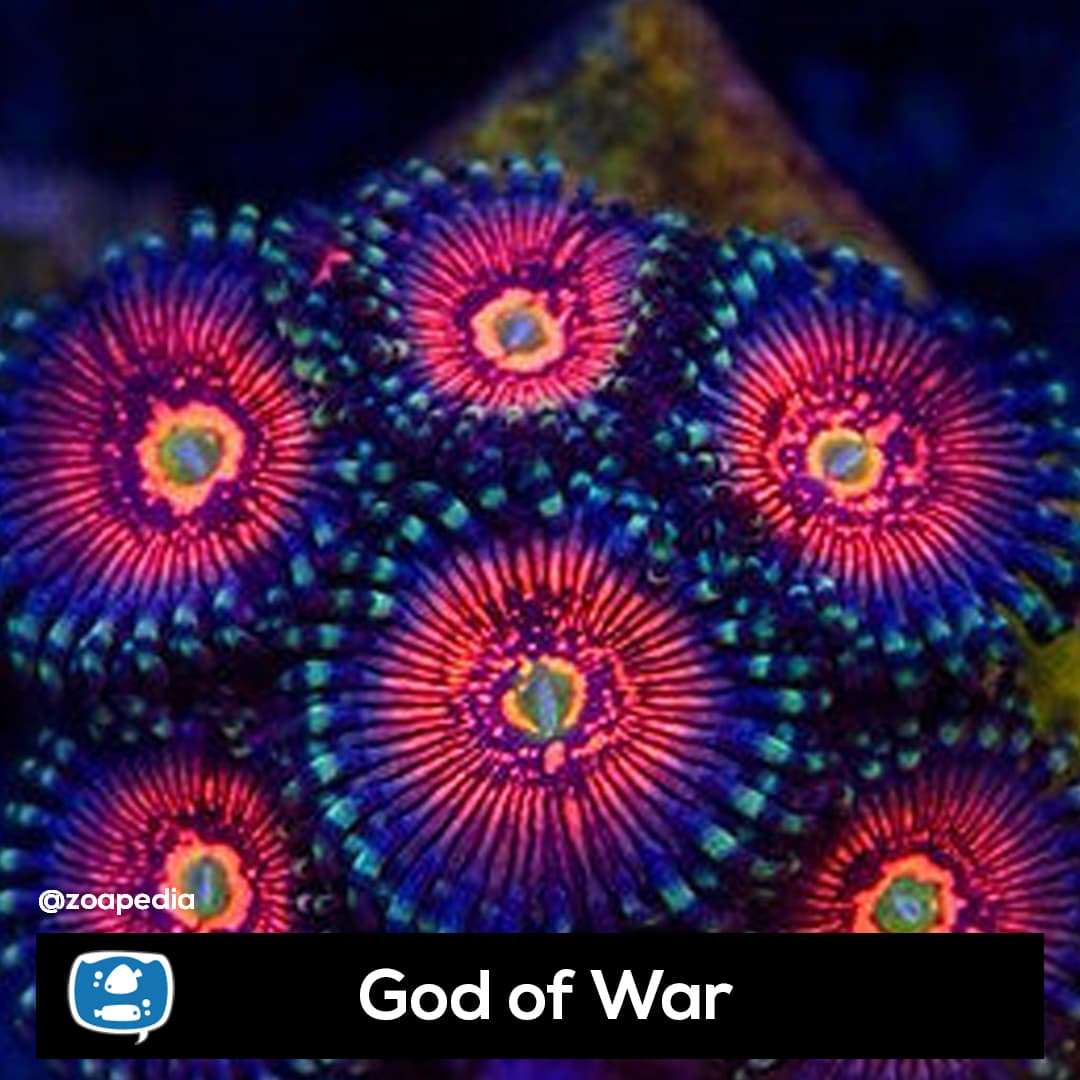 God of War
