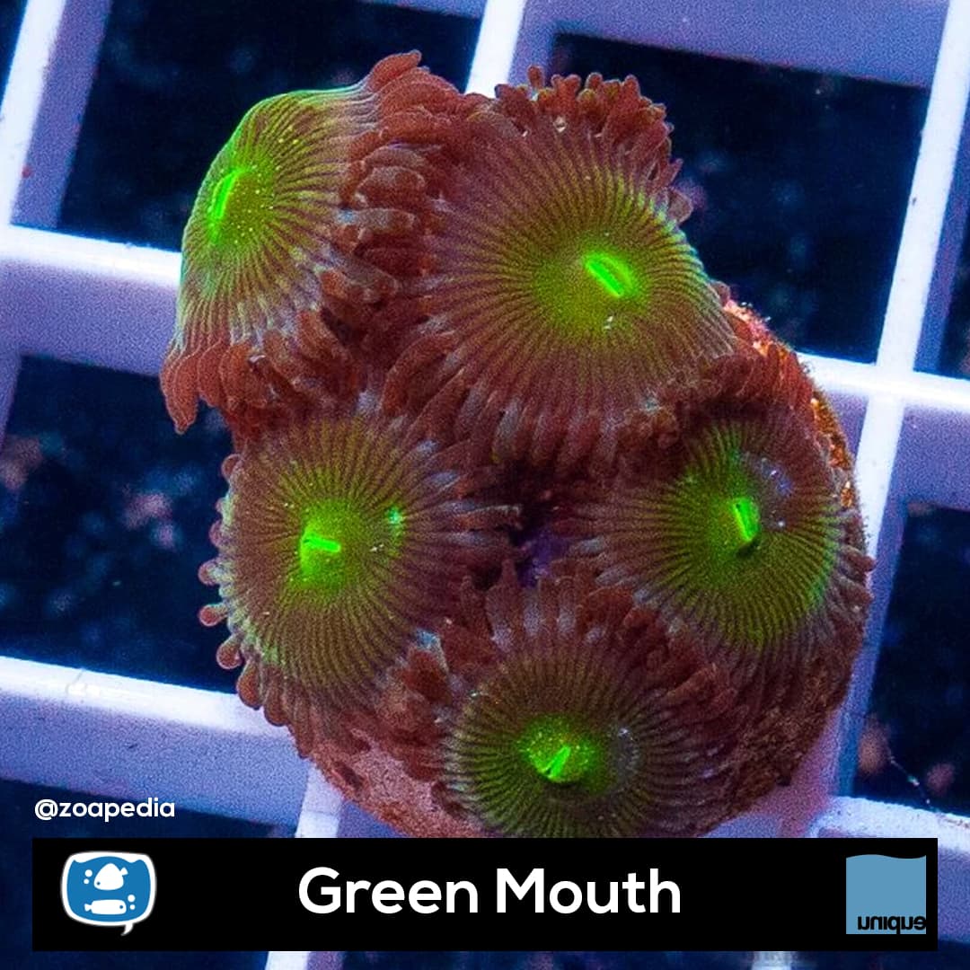 Green Mouth