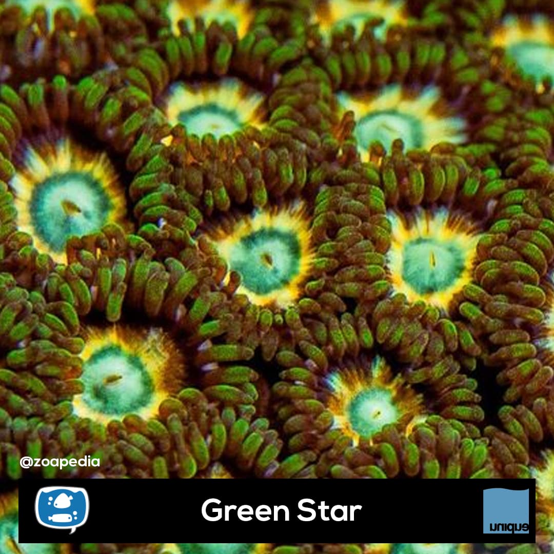 Green Star