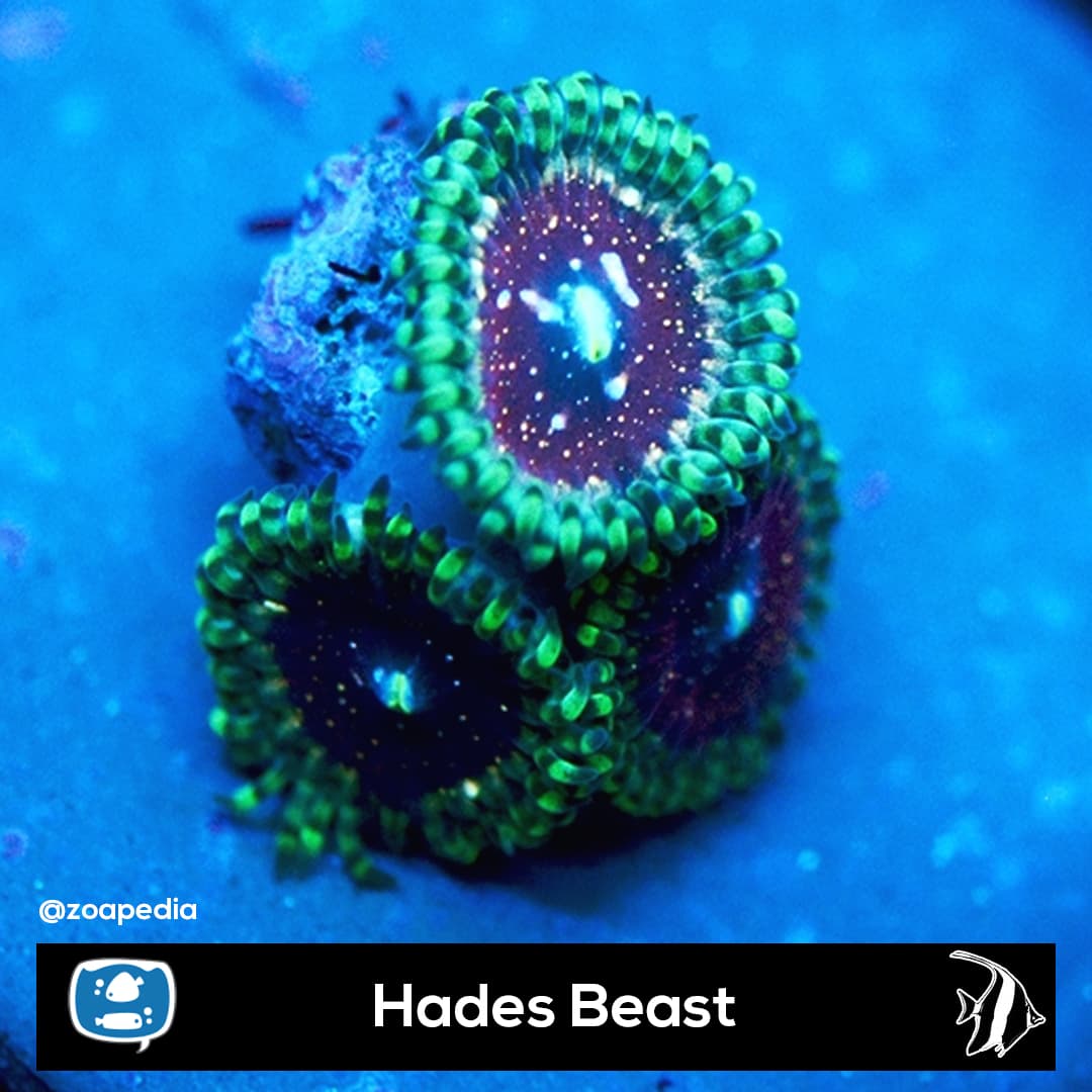 Hades Beast
