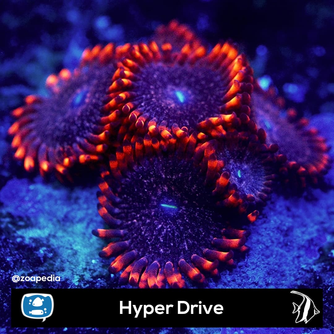 Hyper Drive