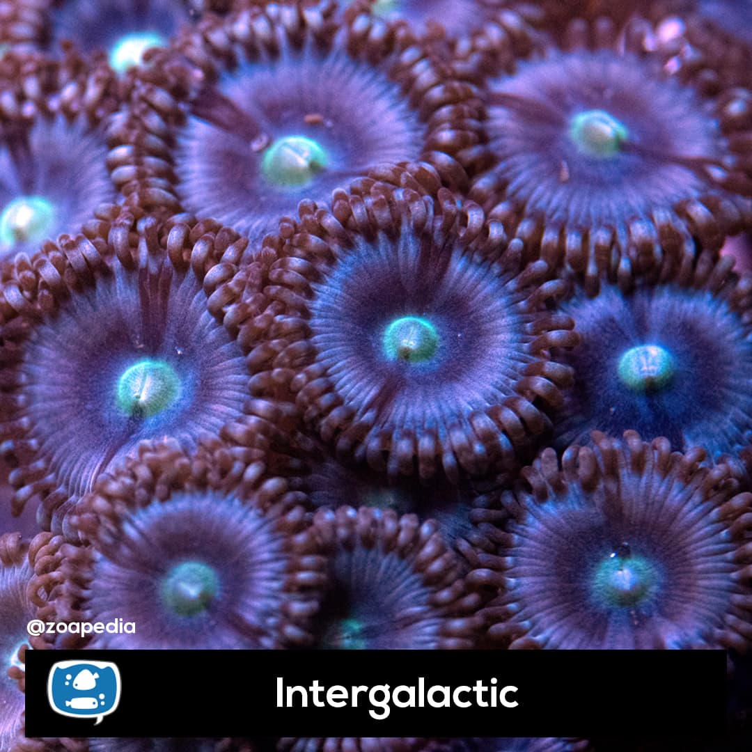Intergalactic