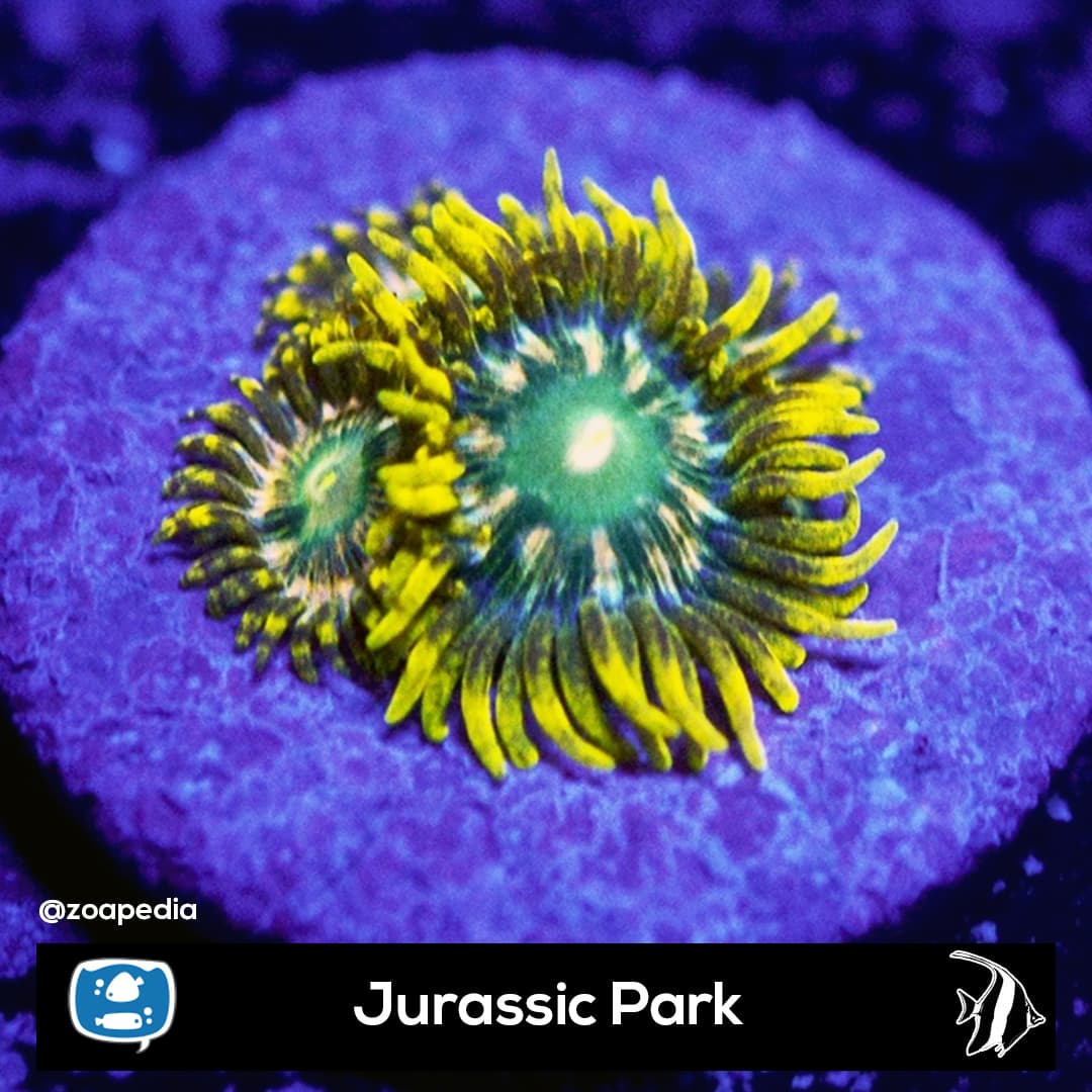 Jurassic Park