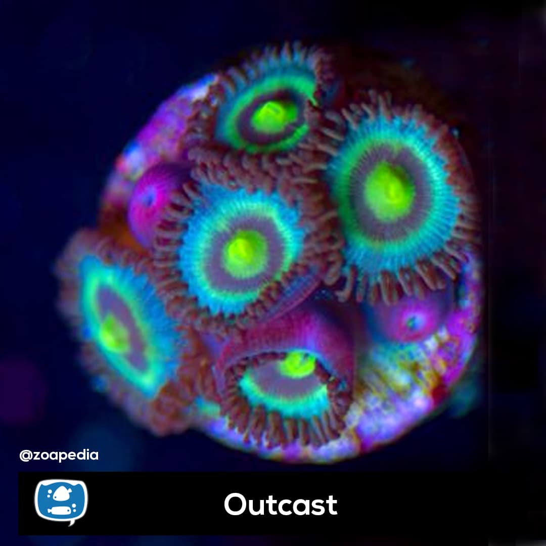 Outcast