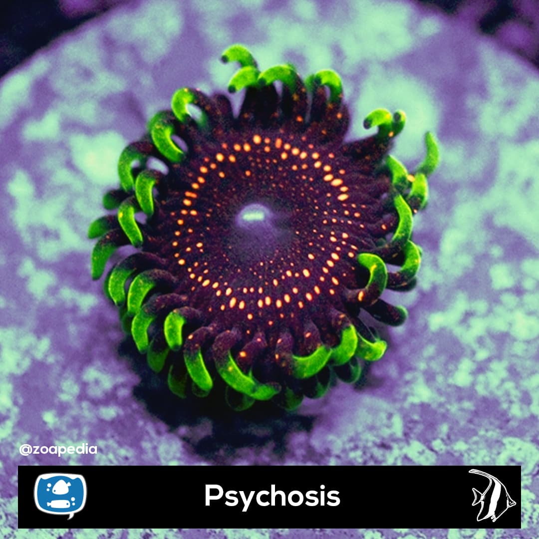 Psychosis