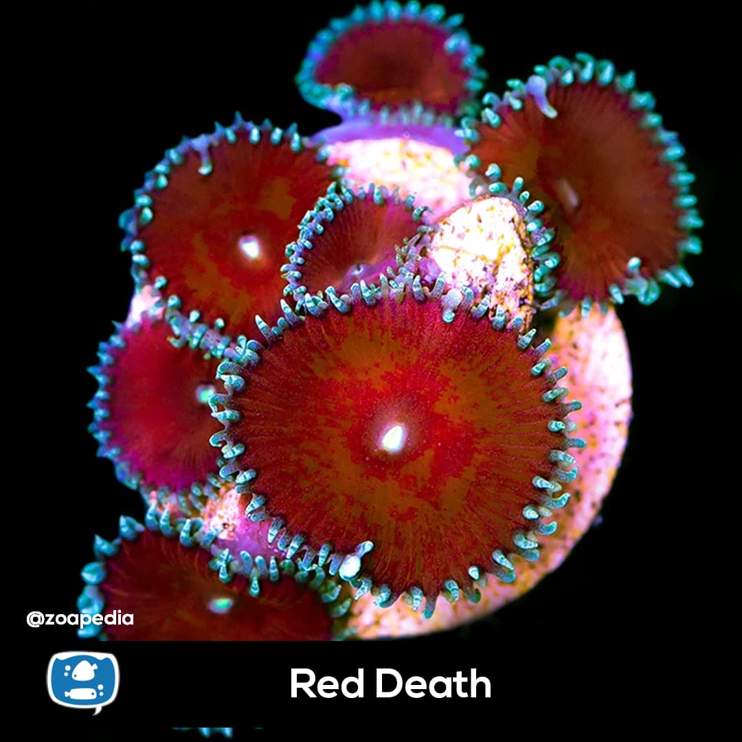 Red Death