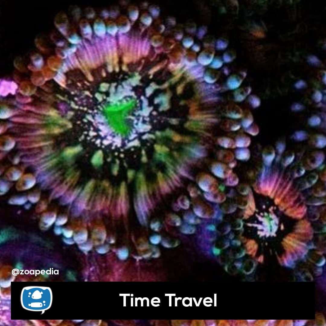 Time Travel