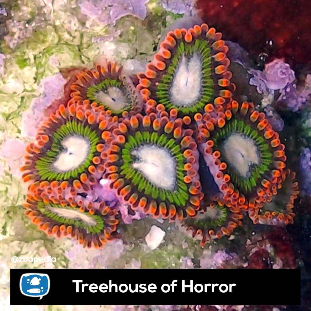 Treehouse of Horror