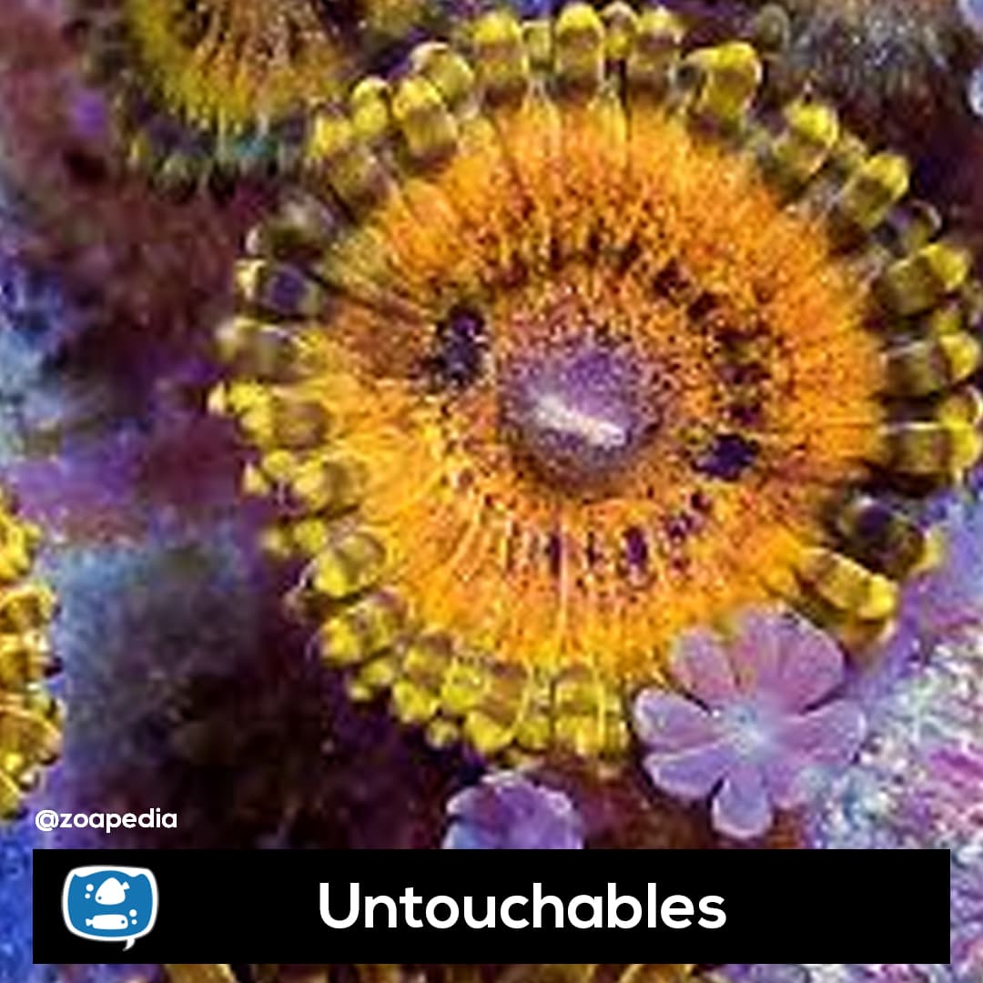 Untouchables