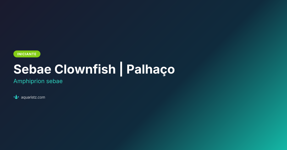Sebae Clownfish | Palhaço (Amphiprion sebae) | Aquaristz