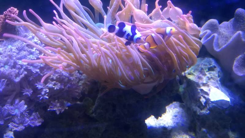 img_20171111_173108545